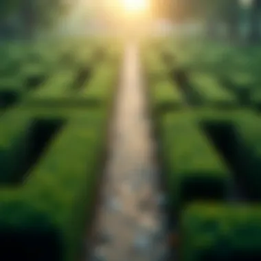 A captivating visual of a maze with a pathway leading to a brighter financial future.